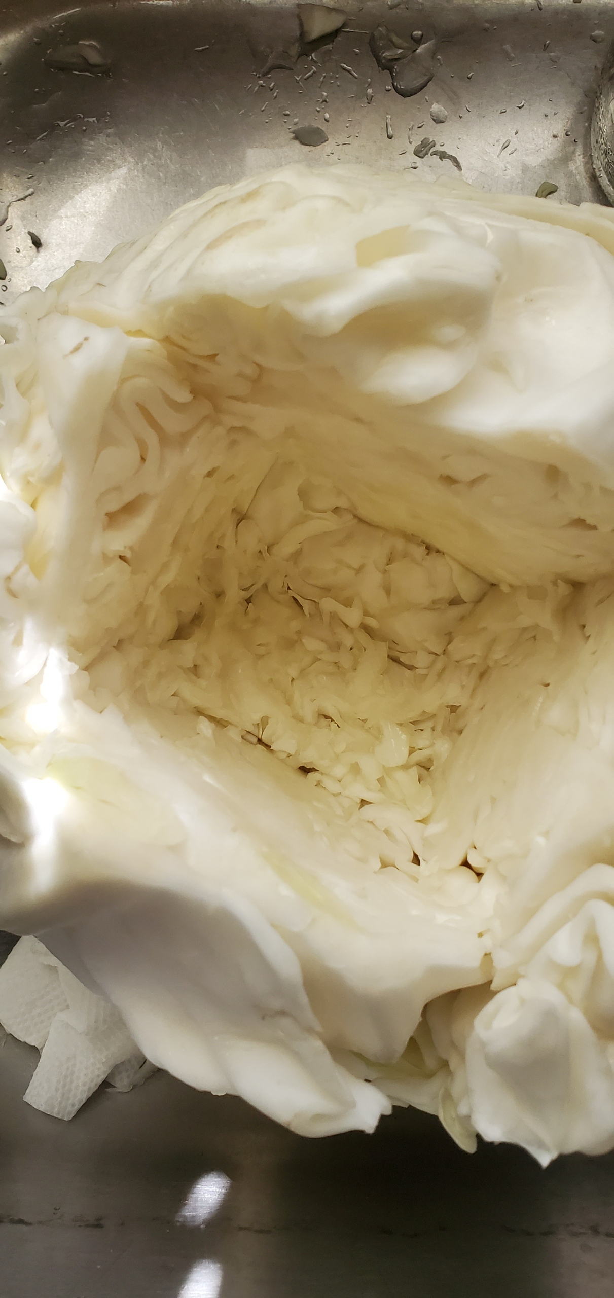 Coring the cabbage head